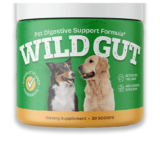 WildGut supplement